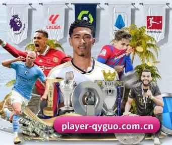 player-qyguo.com.cn APP 界面