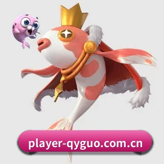 player-qyguo.com.cn的方向 - 长期内容价值积累